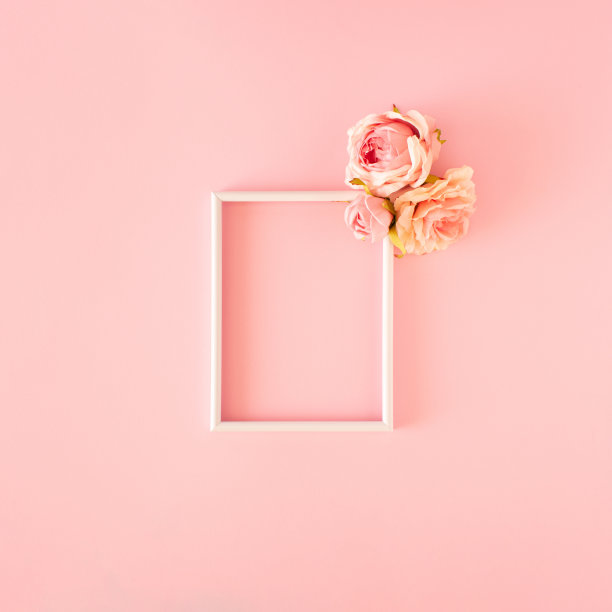粉色背景玫瑰相框。情人节的概念。图片下载