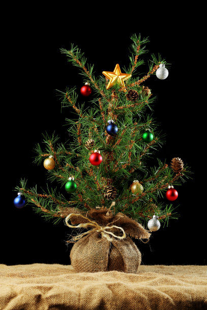 小装饰的圣诞树背景图片下载