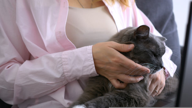 在家用电脑工作的女人怀里抱着的猫。远程工作，远离平时舒适的家庭环境。动物有助于放松，分散日常工作的注意力。与宠物的生活。图片下载