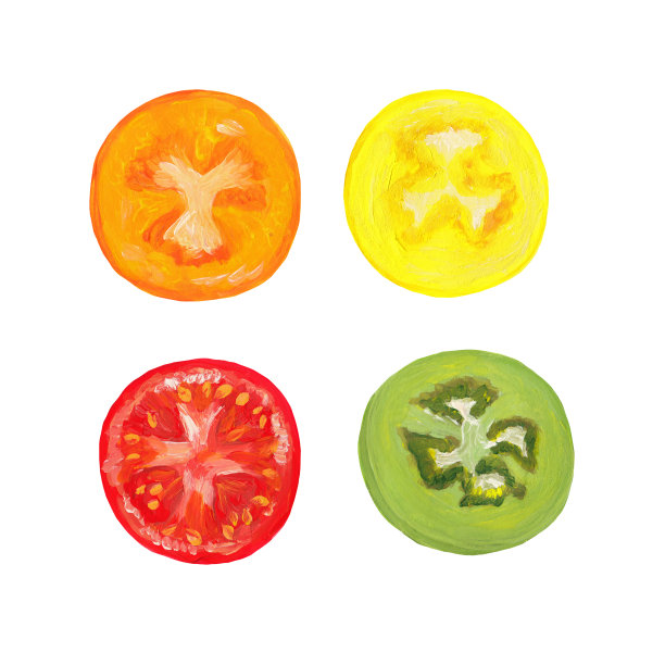 一组切成圆形的不同颜色的番茄:绿色，红色，黄色，橙色。手绘光栅番茄插图孤立在白色。图片下载