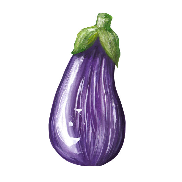 紫色熟茄子手绘的写实风格。蔬菜光栅茄子插图。图片下载