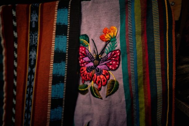 刺绣无缝图案与彩色蝴蝶，花和树叶图片下载