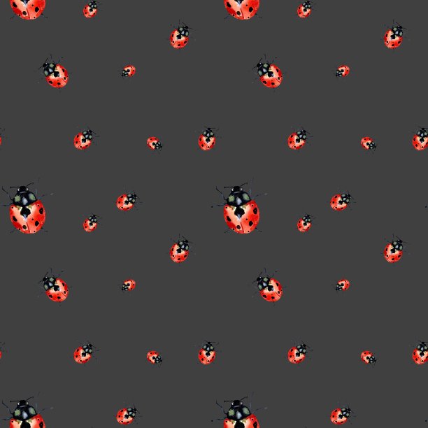 瓢虫红色自然水彩画灰色图案图片下载