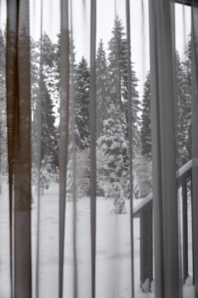 冬天从模糊的窗帘或薄纱冻结的景色。窗外的森林图片下载