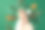 第一人称俯视图照片的妇女在她的手涂抹奶油罐松果干橙片肉桂棒茴香雪花和杉木枝在霜冻孤立的绿色背景图片下载