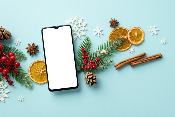 圣诞节的概念。俯视图照片的智能手机云杉树枝槲寄生浆果干橙片松果肉桂棒和雪花在孤立的粉彩蓝色背景与空白图片下载