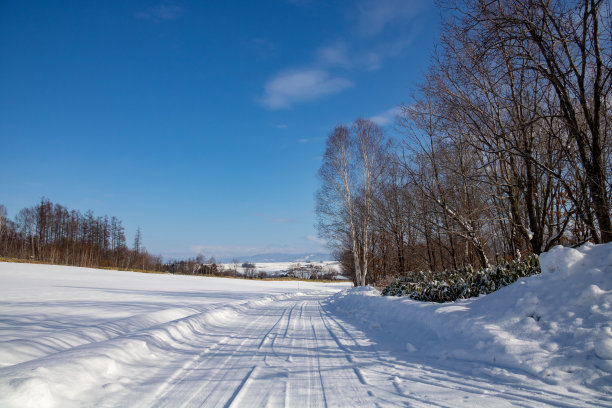 郊区的雪景图片下载