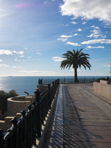 从西班牙塔拉戈纳市的阳台上看海景，阳台上有一棵棕榈树。图片下载