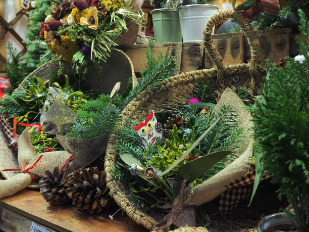 圣诞装饰冬青果篮图片下载