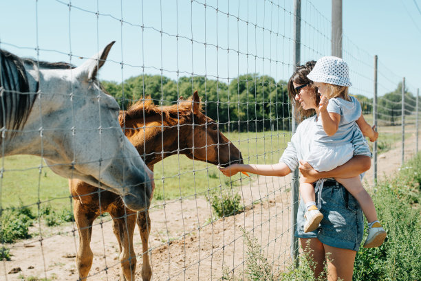 侧面的母亲抱着女儿在农场喂动物。在动物园农场，妈妈带着孩子给马喂食图片下载