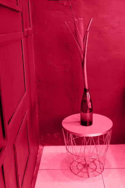 客厅小桌子上有花的花瓶图片下载