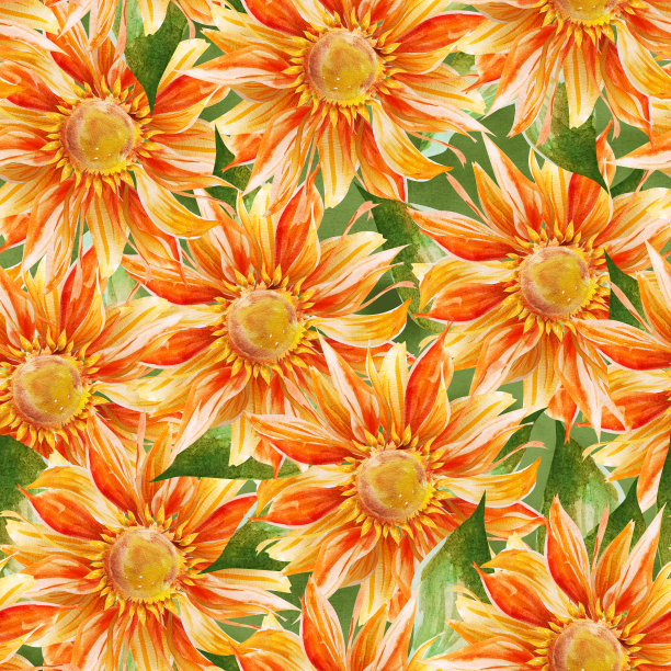 向日葵用绿色的叶子水彩无缝图案。图片下载