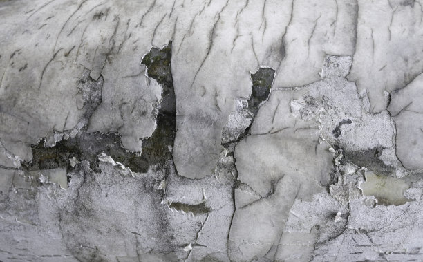 旧的白色和灰色的混凝土墙，有深深的裂缝和裂缝的背景和墙纸纹理图片下载