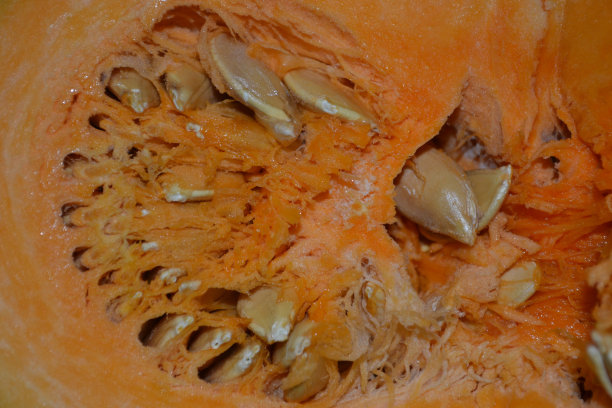 南瓜切好，果肉和种子秋天收获。图片下载