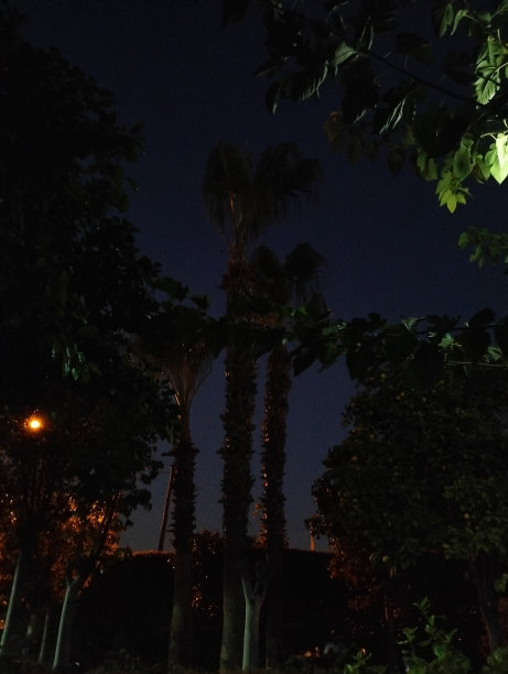 三个黑图片下载