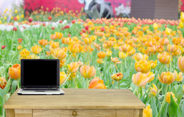 以花园为背景的书桌。图片下载