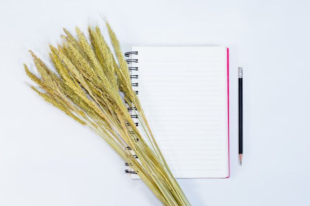 打开笔记与铅笔和草花的背景图片下载