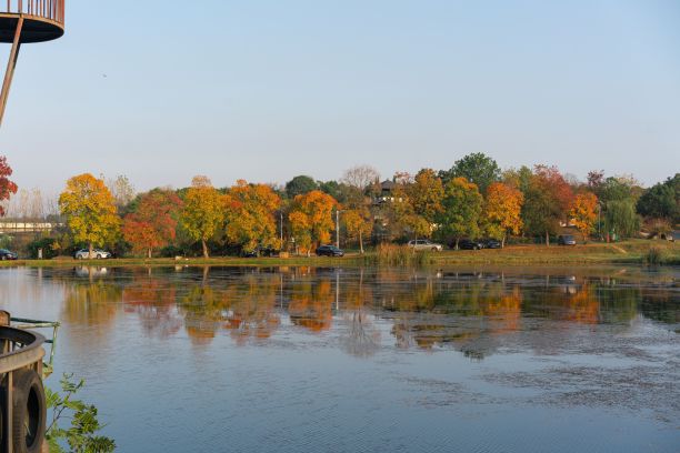 昆明湖岸的景色，在秋天，与水面的倒影，和停放的汽车图片下载
