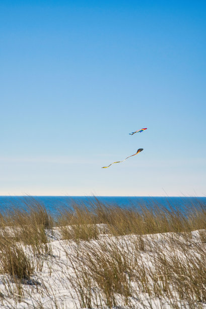 沙滩上晴朗的天空中风筝的美丽景色图片下载