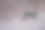 美丽的灰兔子在地上奔跑图片下载
