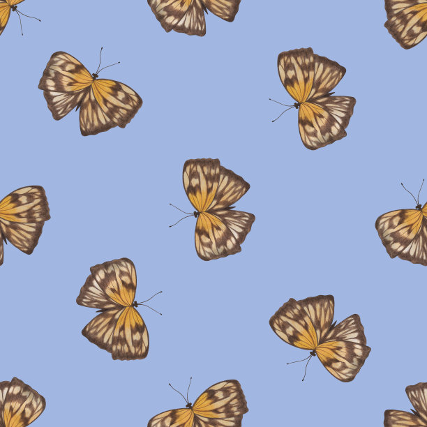 无缝图案与彩色蝴蝶在蓝色背景。图片下载