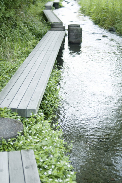 沿河散步图片下载