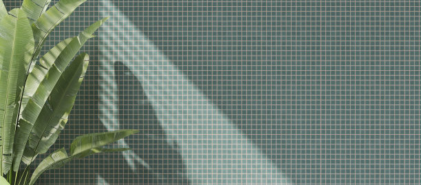 健康的绿色热带香蕉树在绿松石色马赛克瓷砖墙与斑驳的阳光从窗户图片下载