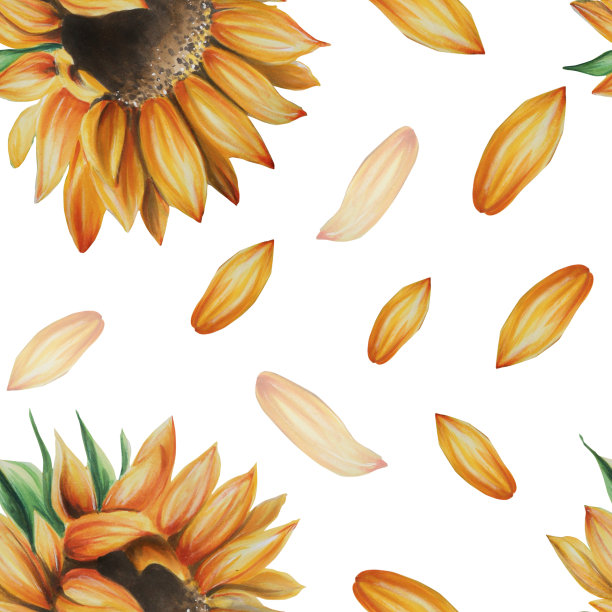 向日葵无缝图案图片下载