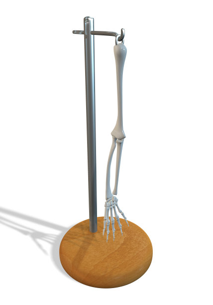 医学标本图片下载