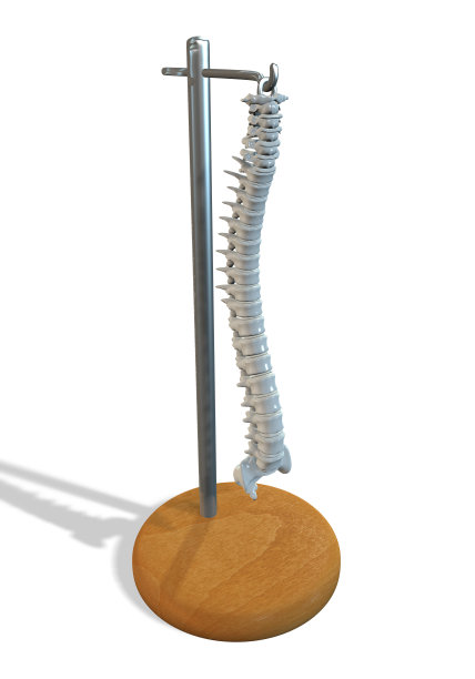 医学标本图片下载