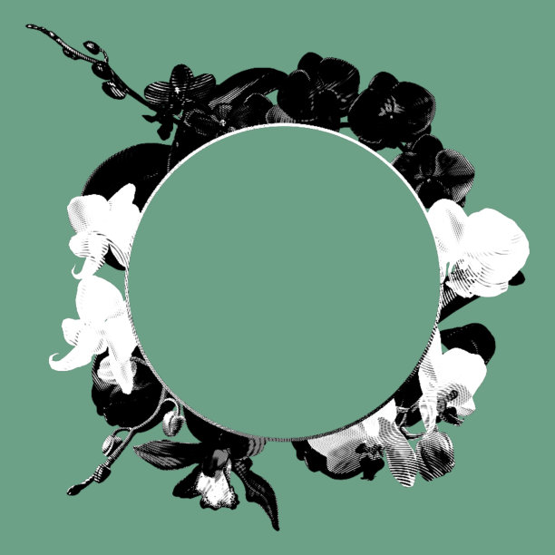 带兰花的热带框架。逼真的图形墨水插图与不同类型的兰花图片下载