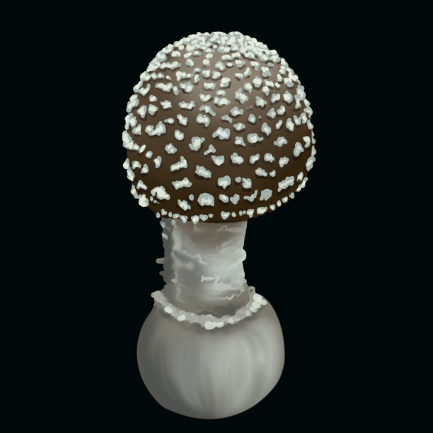 水彩灰飞木耳。逼真的飞木耳菇。有毒的蘑菇图片下载