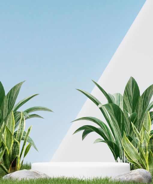 最小的讲台与自然背景的美容和化妆品产品介绍图片下载