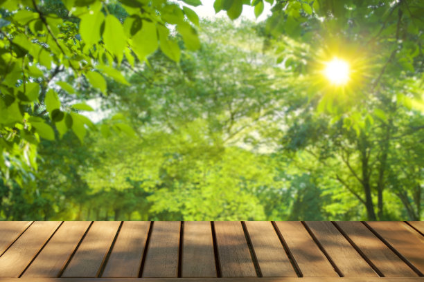 带有公园背景的木桌图片下载