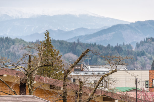 日本，岐阜县，有天际线或城市景观的村庄，房屋，建筑，屋顶，屋顶和背景山图片下载