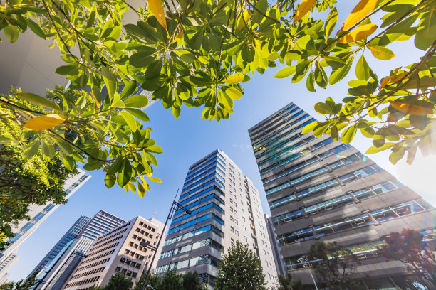 东京的一组建筑在美丽的早晨阳光下图片下载