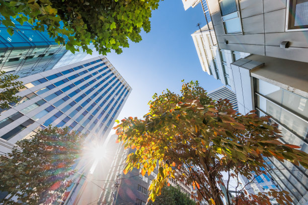 东京的一组建筑在美丽的早晨阳光下图片下载