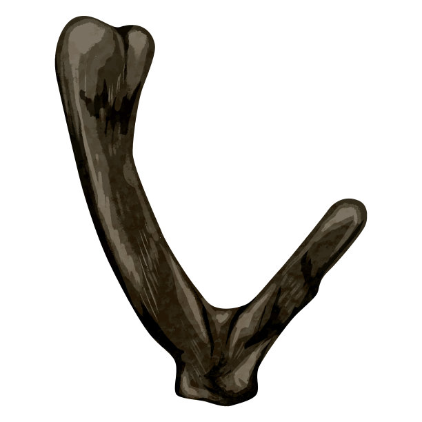 手绘水彩风格的中草药插画图片下载