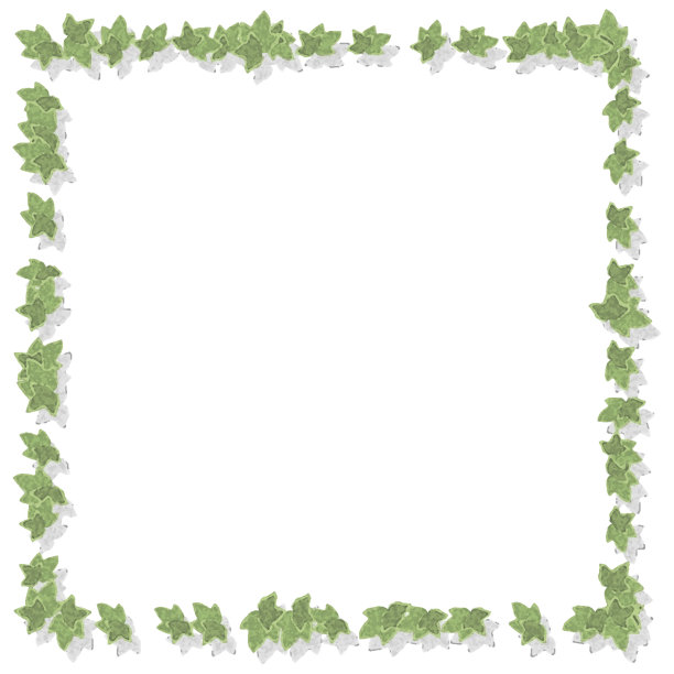 水彩常春藤叶子插画边框图片下载