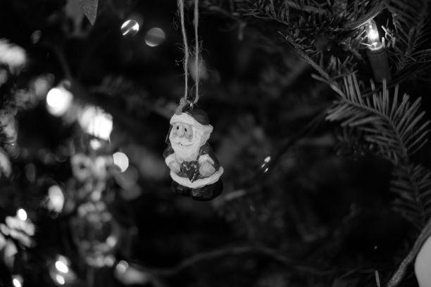 特写镜头的圣诞老人装饰挂在圣诞树上的灰度图片下载