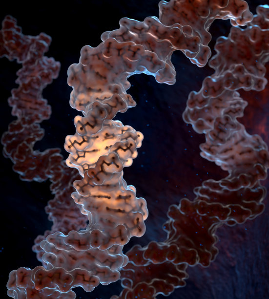 螺旋DNA链图片下载