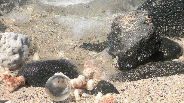 夏威夷的抽象艺术图片下载