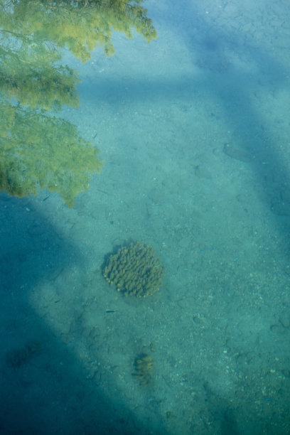水晶海水图片下载