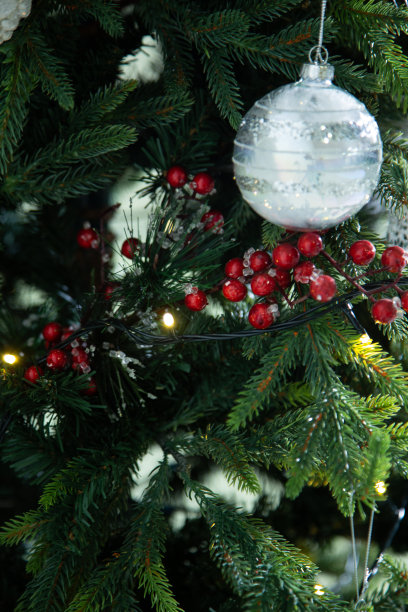 圣诞树图片下载