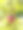 果园里苹果树上的苹果图片下载
