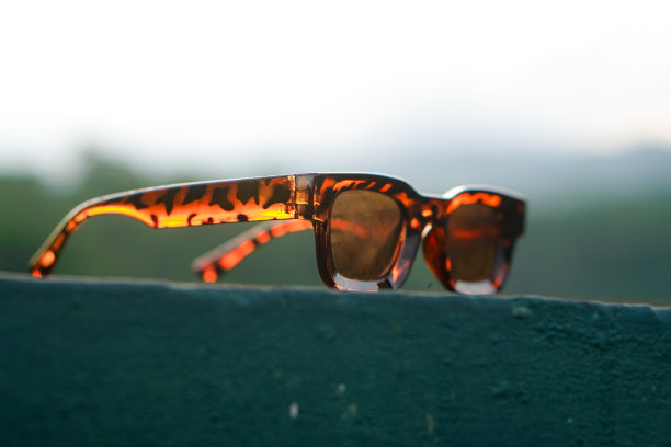 乌贼太阳镜图片下载