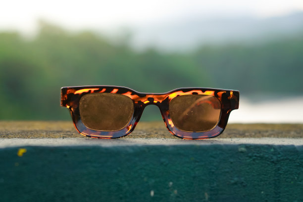 乌贼太阳镜图片下载