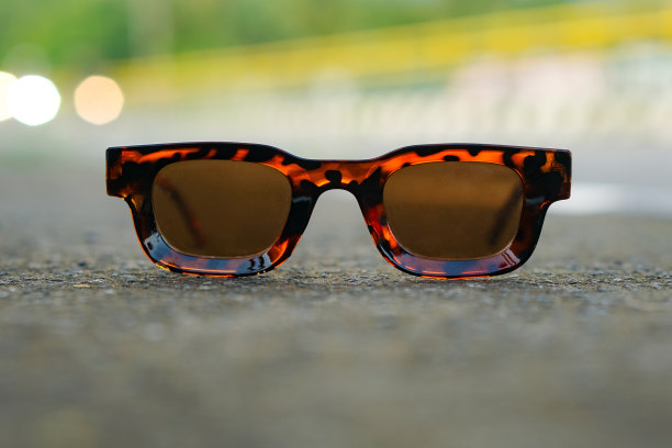 乌贼太阳镜图片下载