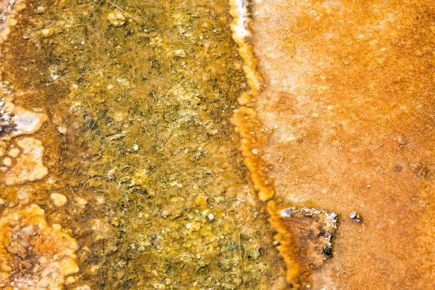 黄石国家公园火山活动温泉池图片下载