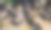 在弗洛伊德伯格的老地方，在晚上图片下载